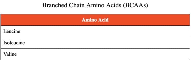 Table answering What are the branched chain amino acids?