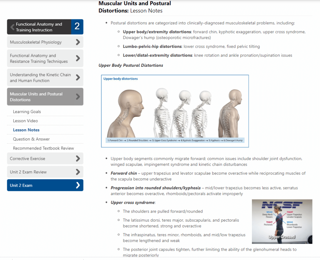 NCSF-postural-assessments