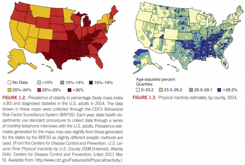 ACSM-physical-activity-breakdown