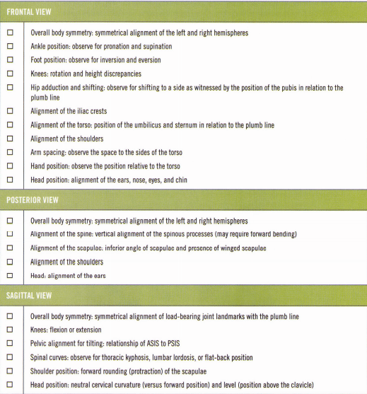 ACE-posture-checklist