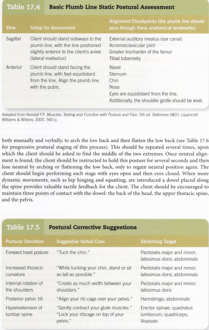 ACSM-plumb-line-checklist