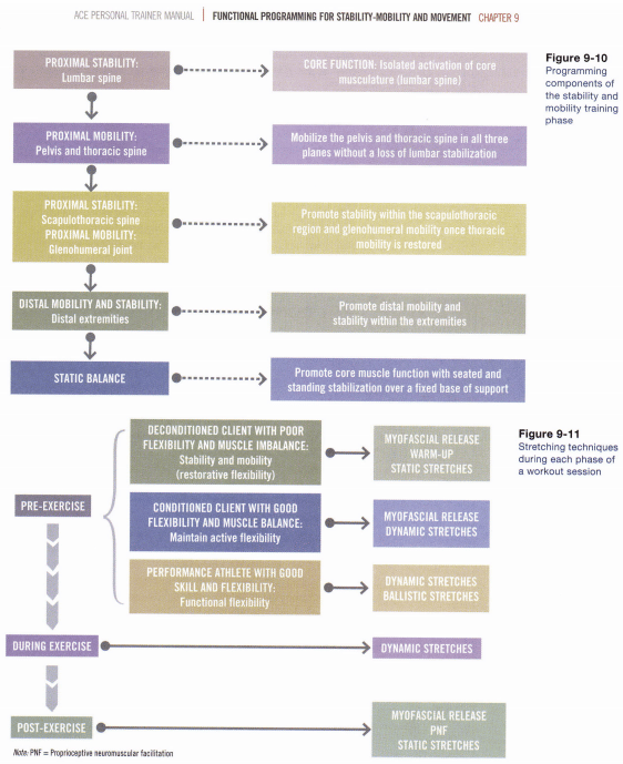 ACSM vs ACE - Which CPT wins out in 2024?