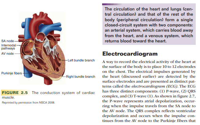 NSCA-heart-diagram