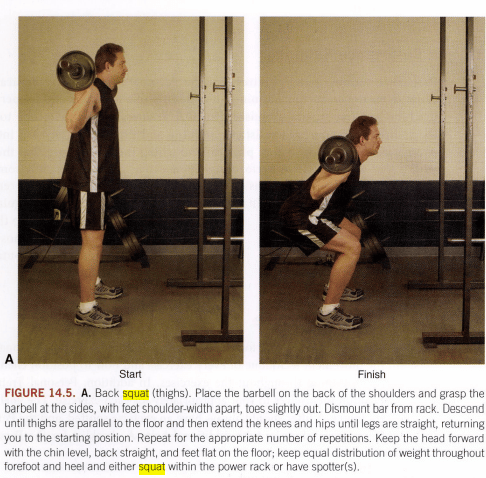 ACSM-squat-description