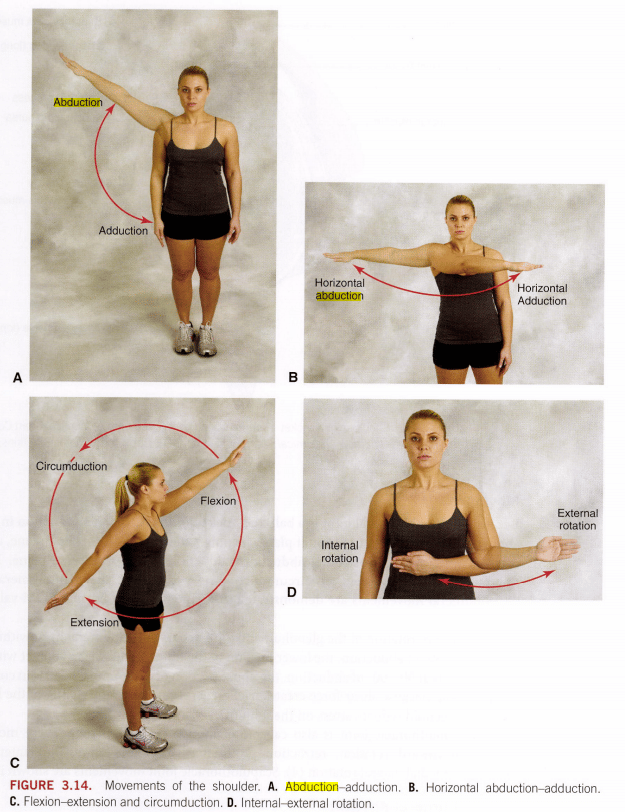 planes-of-motion-ACSM