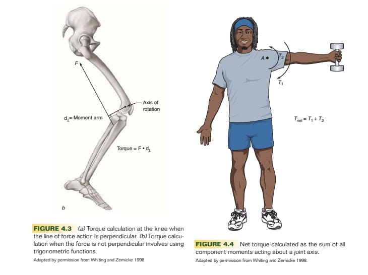 NSCA CPT Content coverage