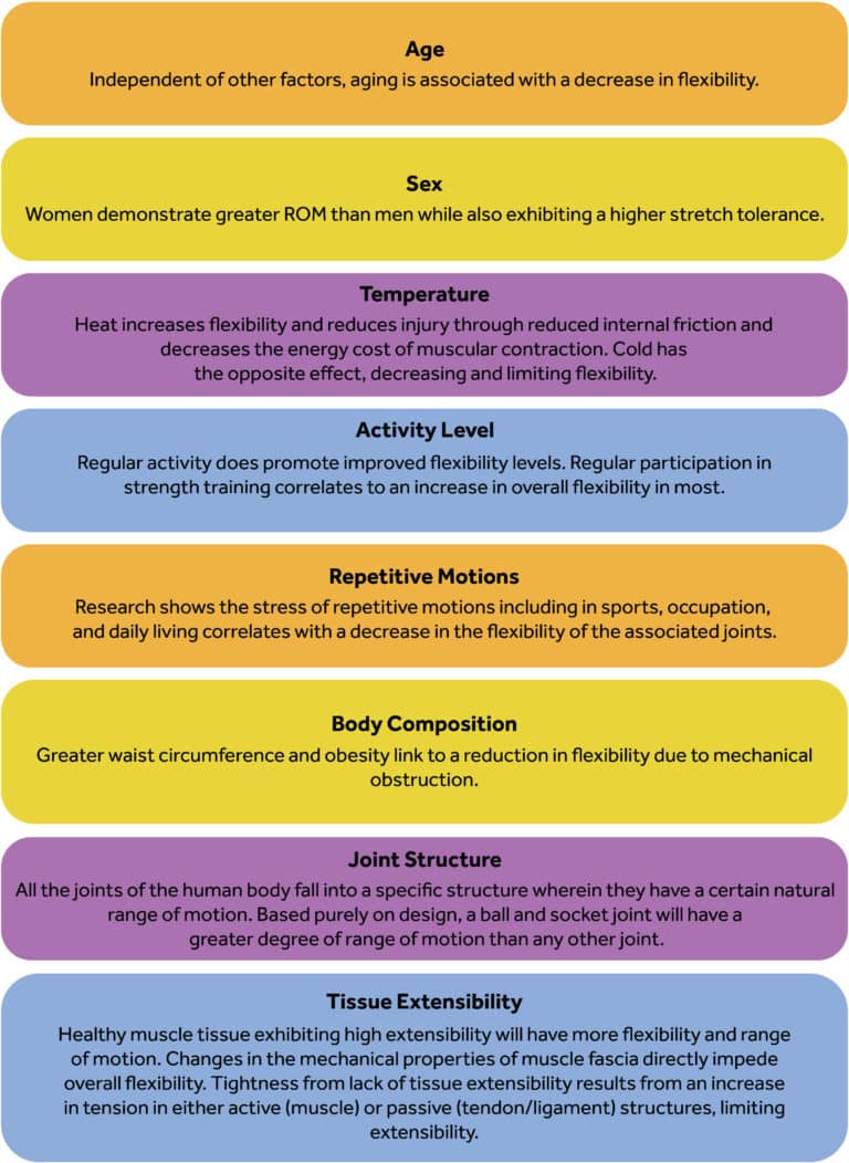Chapter 13: Principles of Flexibility Training Techniques