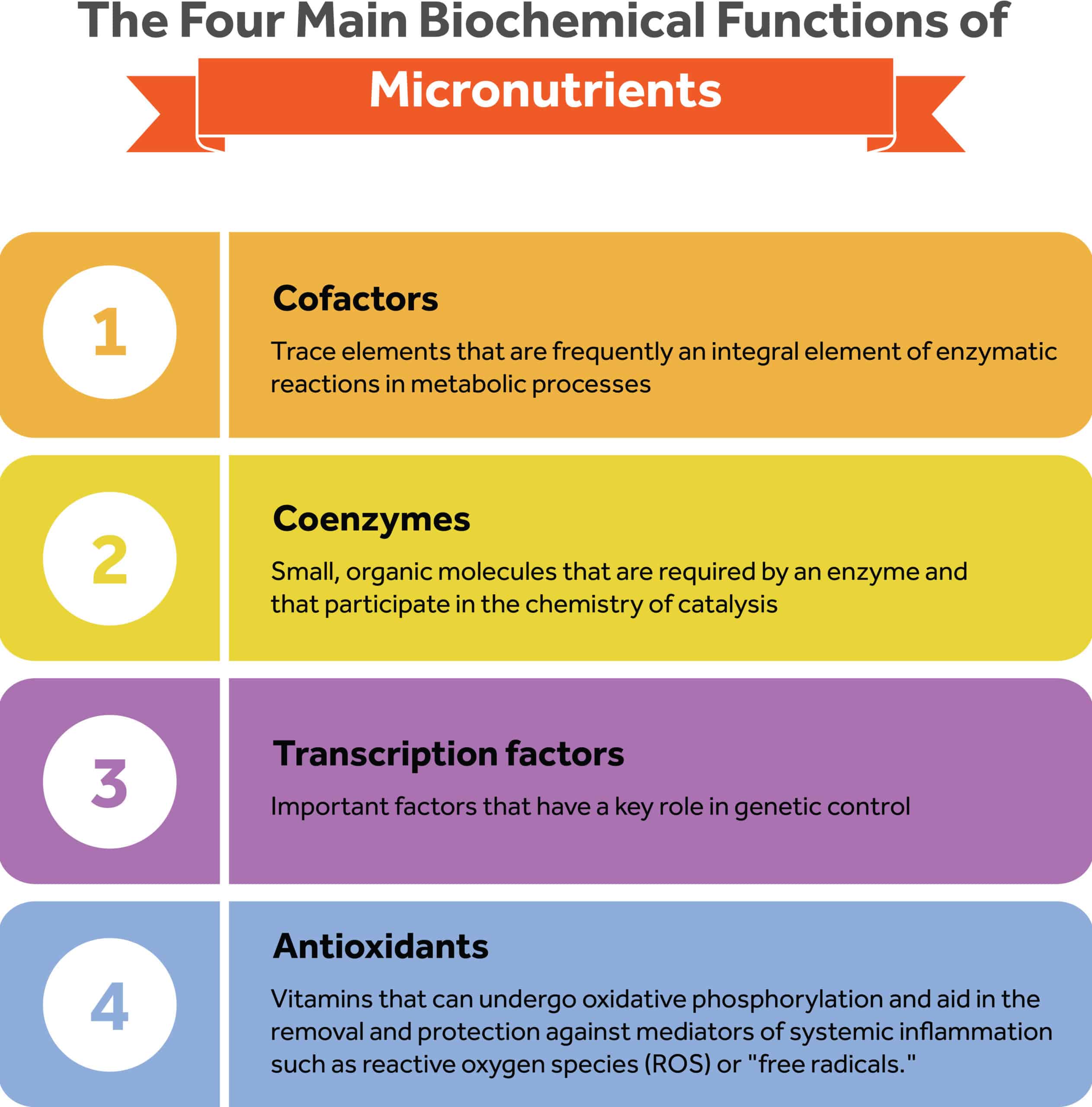 four main biochemical functions of micronutrients