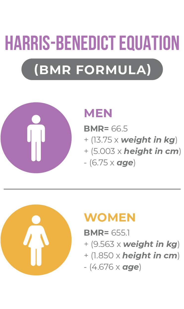 harris benedict equation bmr formula