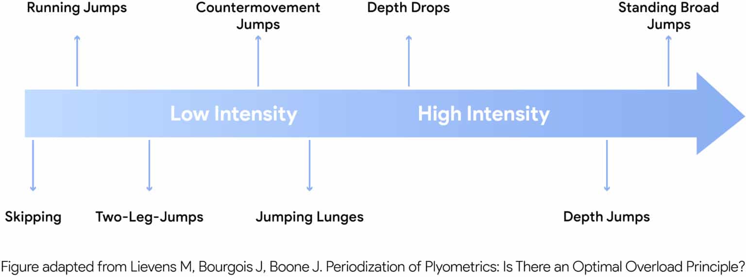 Chapter 19 Principles of Plyometric Training