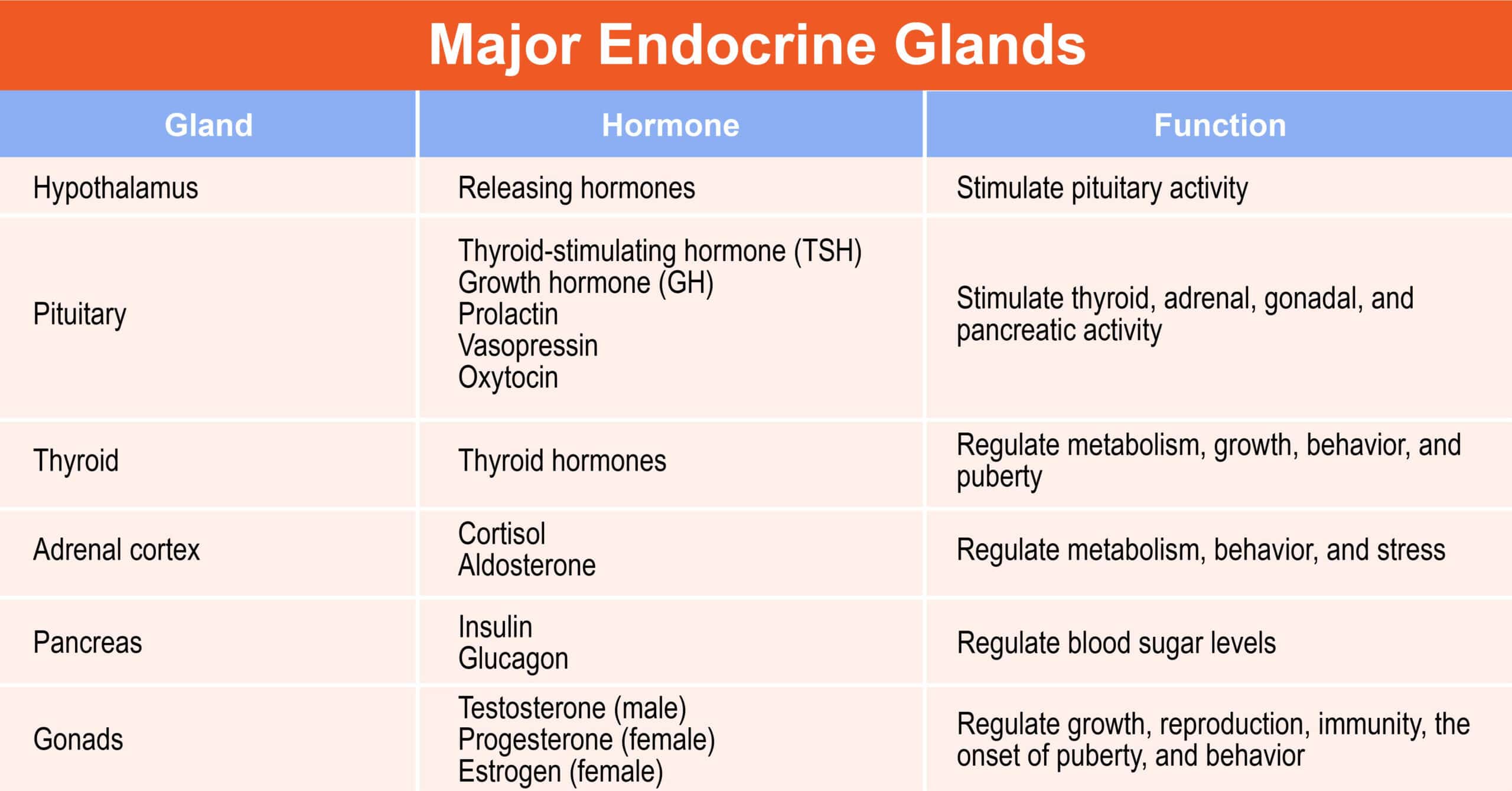 Chapter 5: The Endocrine System