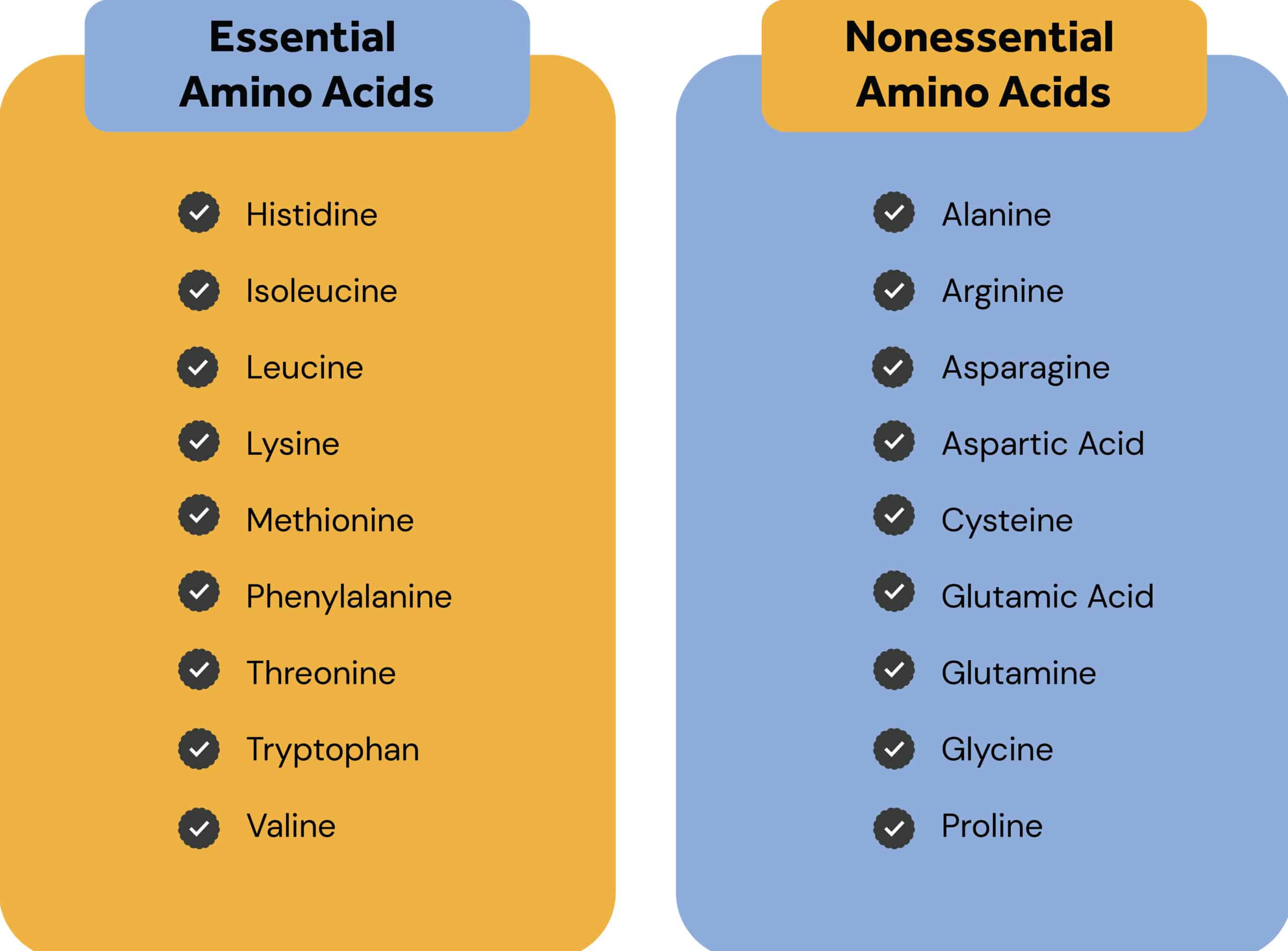 Chapter 25 Macronutrients and Hydration