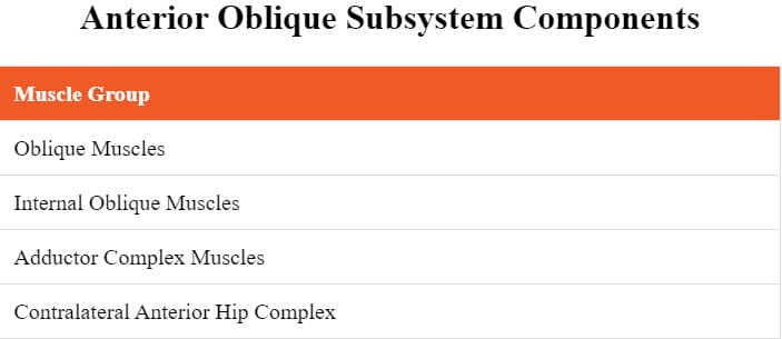 The anterior oblique subsystem includes which of the following muscle groups?

The anterior oblique subsystem includes muscles on opposing sides of the body.