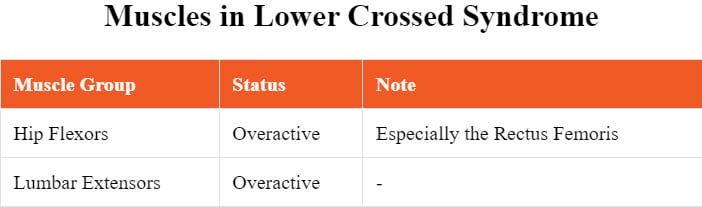 Which muscles are typically overactive in association with lower crossed syndrome?

In cases of lower crossed syndrome, the hip flexors and lumbar extensors often become overactive.