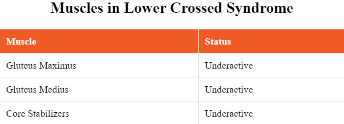 Which muscles are underactive with lower crossed syndrome?
In lower crossed syndrome the gluteus maximus, gluteus medius, and core stabilizers are underactive.