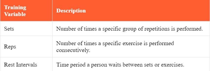 In fitness, what do acute training variables determine?
Acute variables include the number of sets, reps, and rest intervals.