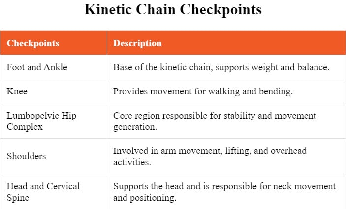 What are the five kinetic chain checkpoints?

The five checkpoints are the foot/ankle, knee, lumbopelvic hip complex, shoulders, and head, and cervical spine.