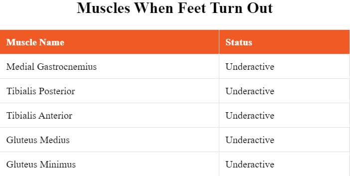 Which muscles are typically underactive when the feet turn out?

Medial gastrocnemius, tibialis posterior, gluteus medius, and gluteus minimus.